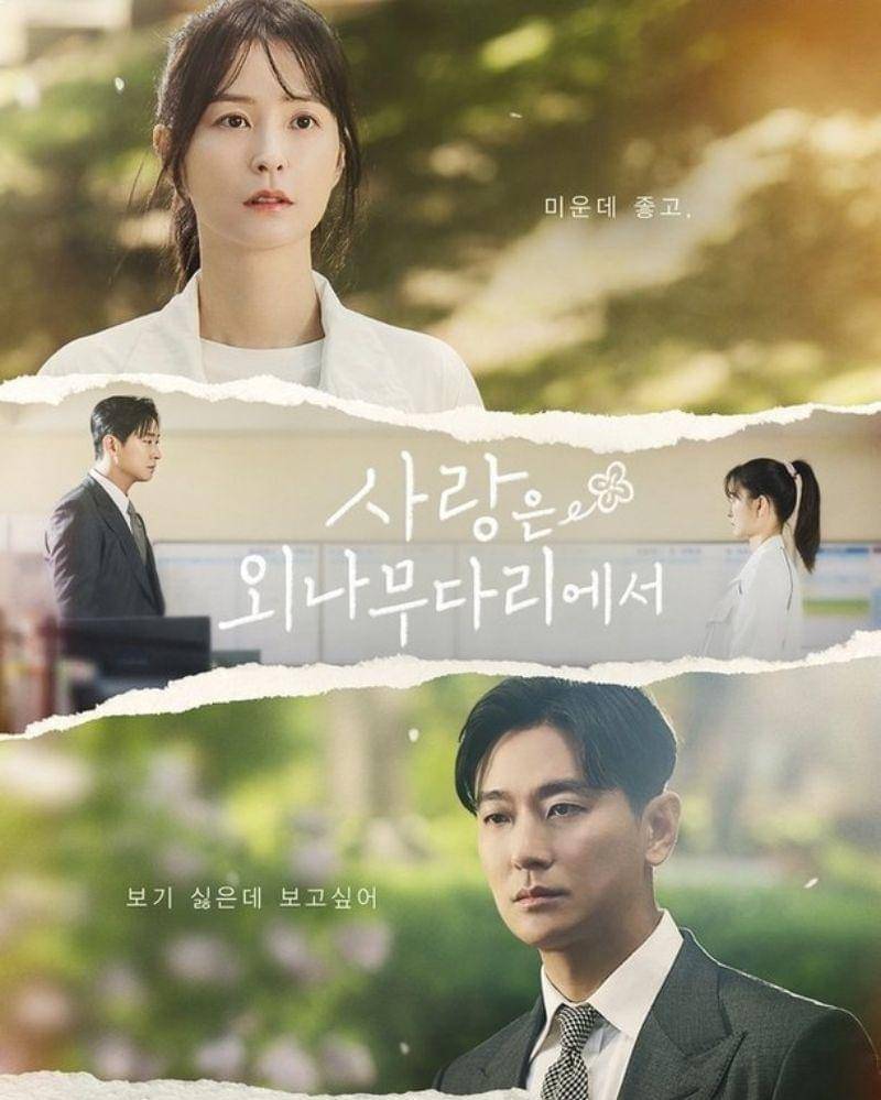 Asianwiki.com/Loveyourenemy